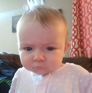 Meet your Posher, Bobby